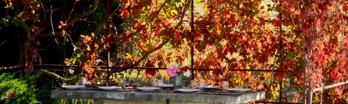 Dining outside